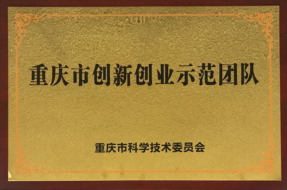 촴ҵģŶ