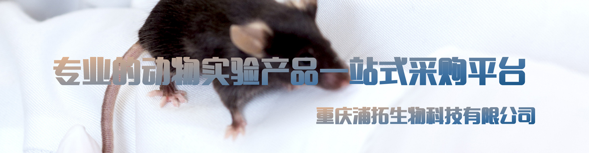 ʹ